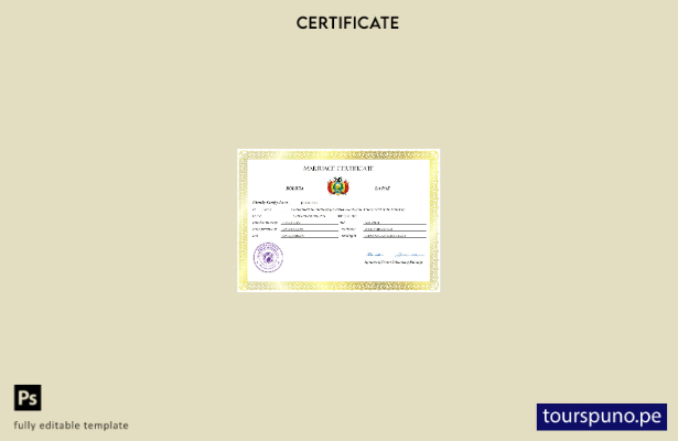 Listado para imprimir Certificado de matrimonio de Bolivia Plantilla Word y PDF